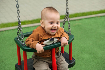 Happy Baby on Swing at Playground portrait