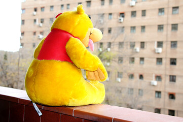peluche en terraza mirando edificio de vecino