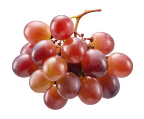 Bunch of red grapes on stem bunch of grapes fruit isolated on a transparent background