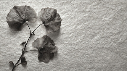 Dried flowers with unique textures in a grayscale shot