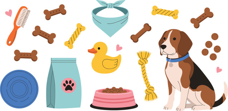 Cute beagle dog with pet supplies set including food bowl treats rubber duck brush bandana and toy rope isolated on white background flat vector illustration