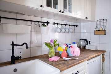 pair pink rubber household gloves, vibrant collection cleaning tools, household set for various surfaces in kitchen and other rooms, Spring Clean, Fresh Start