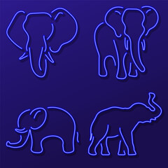elephant neon icon group, vector illustration.