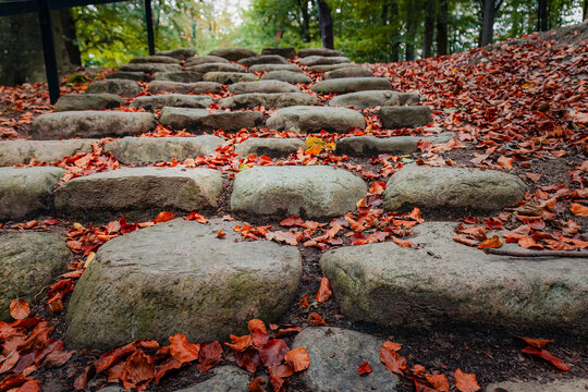 A low-angle, close-up shot of natural stone stairs winding through a park, scattered with vibrant red and orange fallen beech leaves during the autumn season in Ramlosa Brunnspark, Sweden.