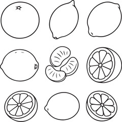 Black and White 3D Line Art Citrus Fruit Geometry Set.eps