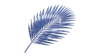 Blue palm leaf isolated on transparent background