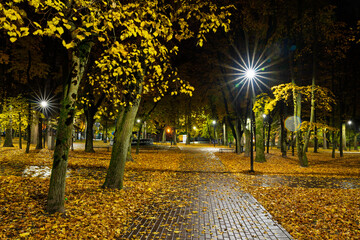 Empty park alley at night with fallen golden leaf and glowing street light. Autumn landscape with warm illumination for seasonal background.