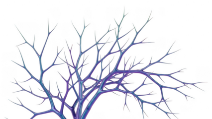 Leafless tree branches isolated on transparent background