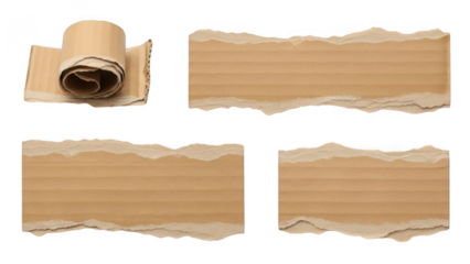 Torn Cardboard Pieces and Rolled Cardboard Tube on Black Background graphic design isolated on a transparent background