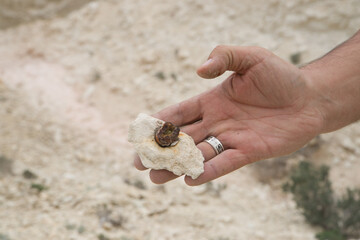 Ancient fossils. The floor of the ancient Tethys Ocean.
