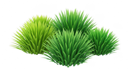 Three green grass clumps isolated on transparent background