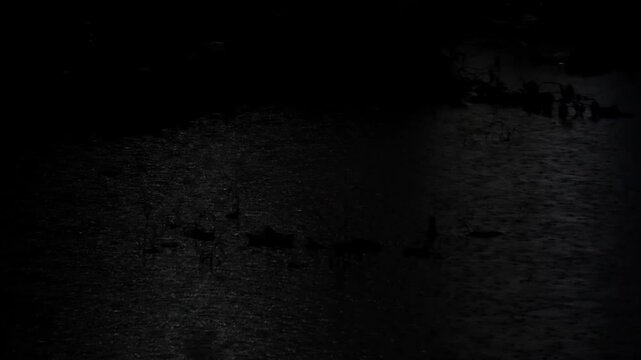 Raining at night on a swamp or pool of water, raindrops on water in dark night time.