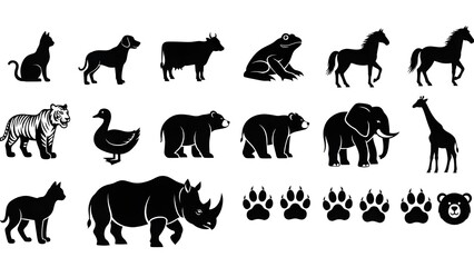 una colecci&oacute;n de varios tipos de huellas de animales