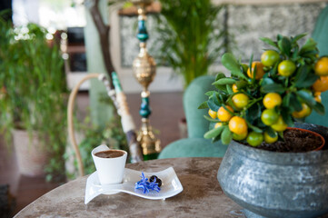 Turkish Coffee Table with Shisha and Plants