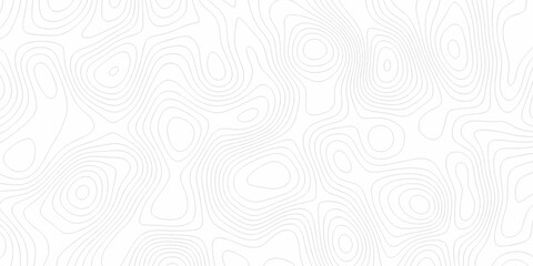 White wave paper curved reliefs abstract background, Abstract topographic contours map background. Black and white lines seamless Topographic map patterns, topography line map. © Elana