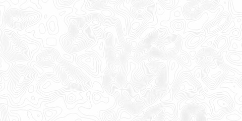 White wave paper curved reliefs abstract background, Abstract topographic contours map background. Black and white lines seamless Topographic map patterns, topography line map. © Elana