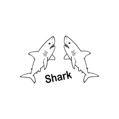 vector illustration of Shark