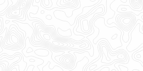 White wave paper curved reliefs abstract background, Abstract topographic contours map background. Black and white lines seamless Topographic map patterns, topography line map. © Elana