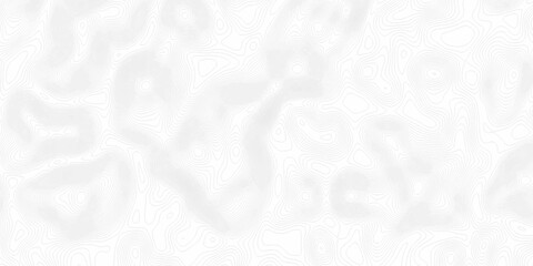 White wave paper curved reliefs abstract background, Abstract topographic contours map background. Black and white lines seamless Topographic map patterns, topography line map. © Elana
