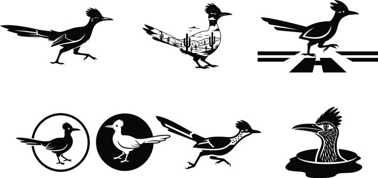 Action packed roadrunner bird illustrations showing sprinting poses and standing profiles for high speed concept graphic design usage.