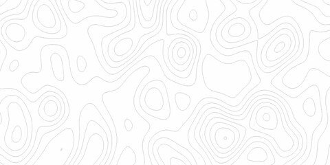 White wave paper curved reliefs abstract background, Abstract topographic contours map background. Black and white lines seamless Topographic map patterns, topography line map. © Elana