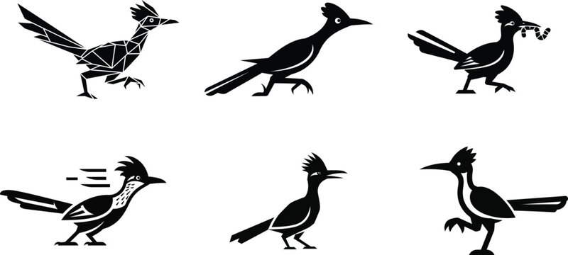 Set of monochrome roadrunner bird designs including fast running silhouettes and cartoon mascot styles for sports team branding.