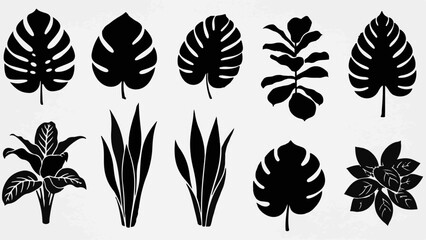 Collection of diverse tropical plant leaf silhouettes, showcasing organic shapes and natural beauty.