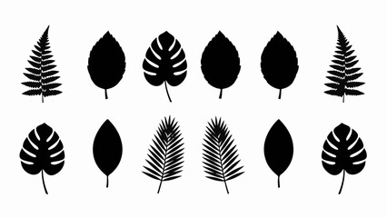 Collection of diverse tropical leaf silhouettes on white background