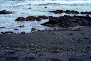 Punaluu Black Sand Beach