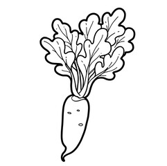 Radish root with green tops linear drawing on white background