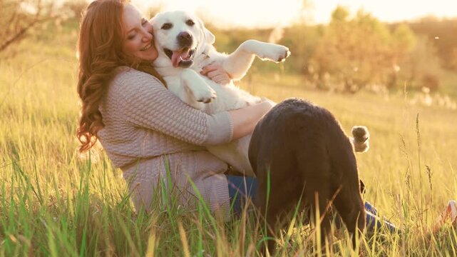 Enjoying time outdoors with dogs in a sunny field during the evening