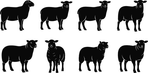 Sheep silhouette vector set, farm animal collection, black isolated icons on white background, livestock illustration for agriculture, wool and mutton logo design.