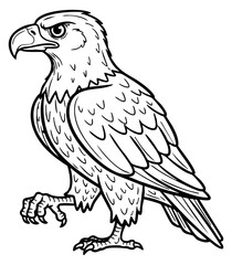Fototapeta premium Eagle bird illustration in black and white line art