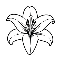 Simple black and white lily flower illustration