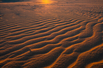 夕暮れの鳥取砂丘の砂漠