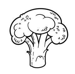 Large, firm broccoli floret linear drawing on white background