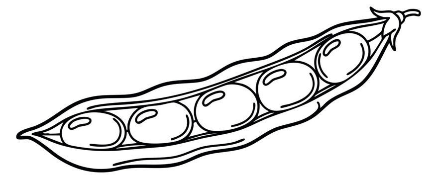 Pea pod icon with five peas black and white line art
