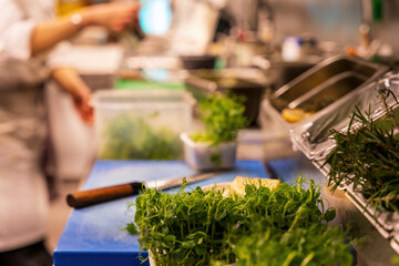 A view into a professional Bavarian kitchen which cook with fresh green vegetables