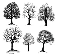 Obraz premium Bare tree set with branches and roots hand drawn outline illustration