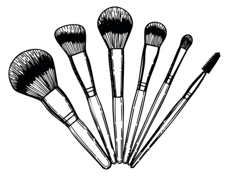 Makeup brush set with powder brushes and spoolie hand drawn sketch