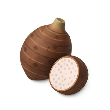 3D rendered illustration of a whole and cut taro root (talas) on a clean white background. Healthy food icon.