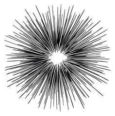 Obraz premium Vintage sunburst icon with radial lines black and white line art