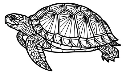 Fototapeta premium Turtle illustration black and white line art