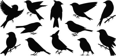 Assortment of Bird Silhouettes in Various Poses on White Background Keywords: bird, birds, silhouette, animal, wildlife, nature