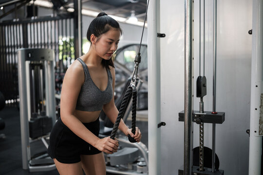 Focused young woman performing cable rope triceps pushdown in a modern gym. Healthy lifestyle concept.