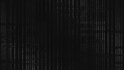 Black and White VHS Glitch Background
