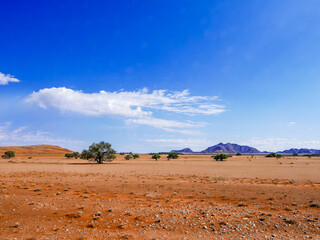 Sand dunes in the spectacular Sossusvlei landscape.