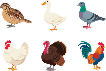Obraz premium Farm birds illustrated set
