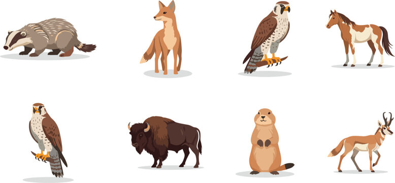 North American Wildlife Cartoon Animal Set
