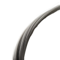 Silver Gray Hair Strand Detail Aging Beauty Health White